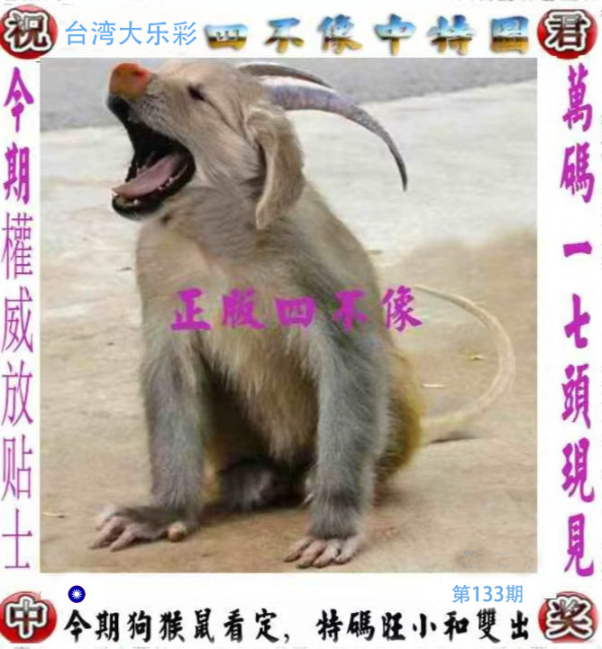 First Image