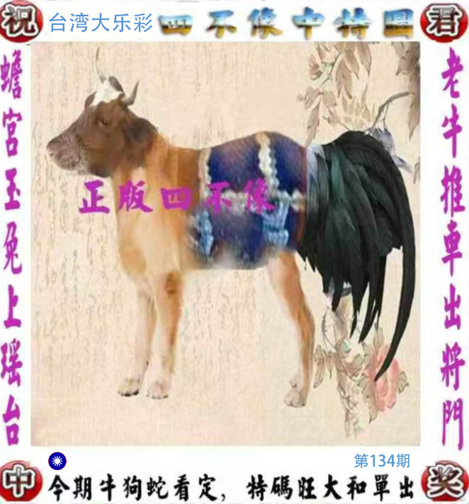 First Image