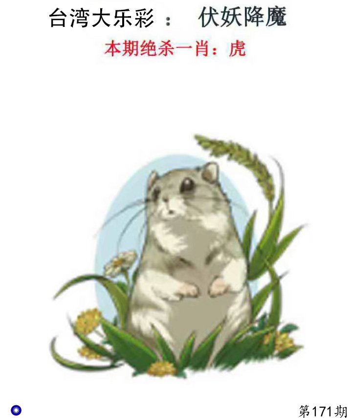 First Image