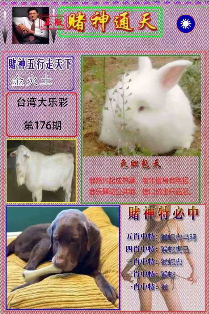 First Image