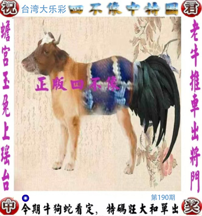 First Image