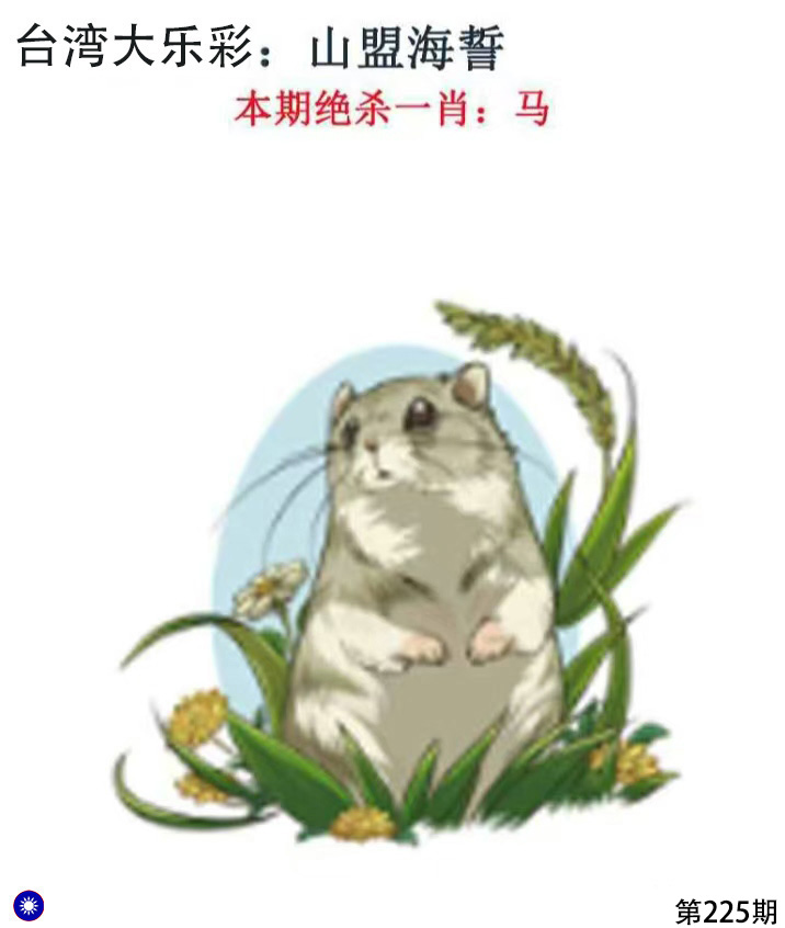 First Image