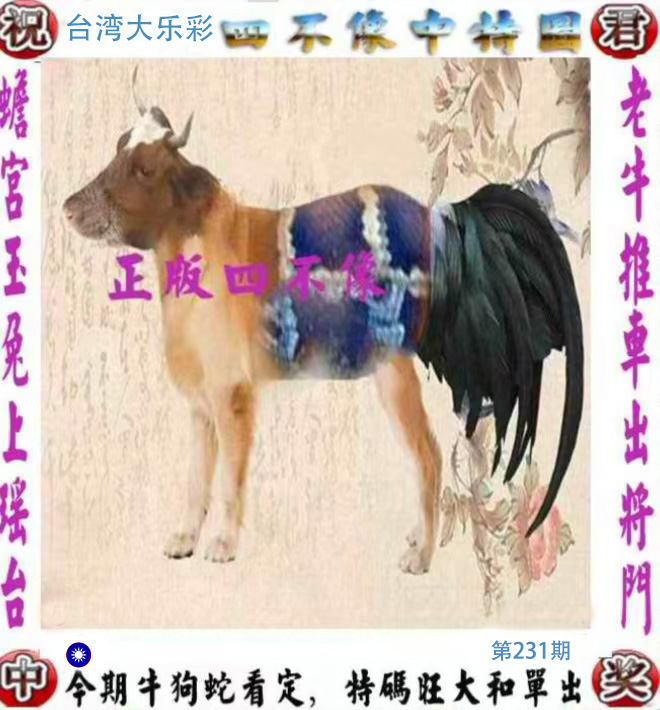 First Image