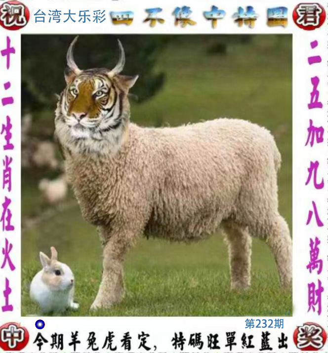 First Image