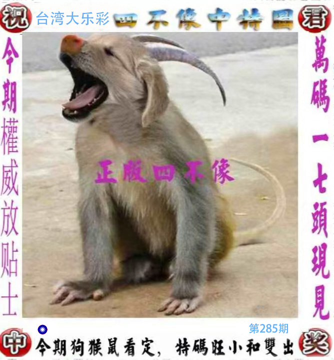 First Image